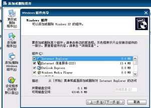 解決Windows XP系統(tǒng)缺失Internet信息服務(wù)(IIS)的指南